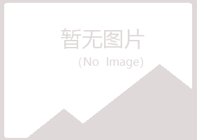 田东县青亦能源有限公司